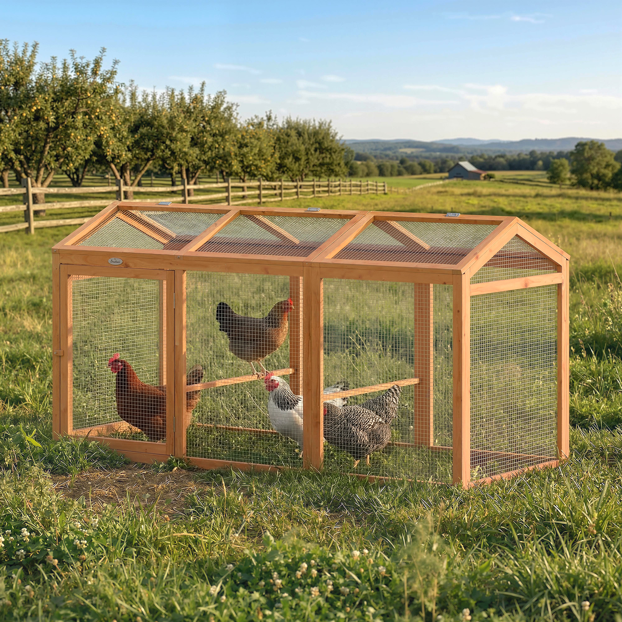 Poulailler Enclos extérieur avec perchoir et double portes, en bois et métal, pour 4 poule — vue 2