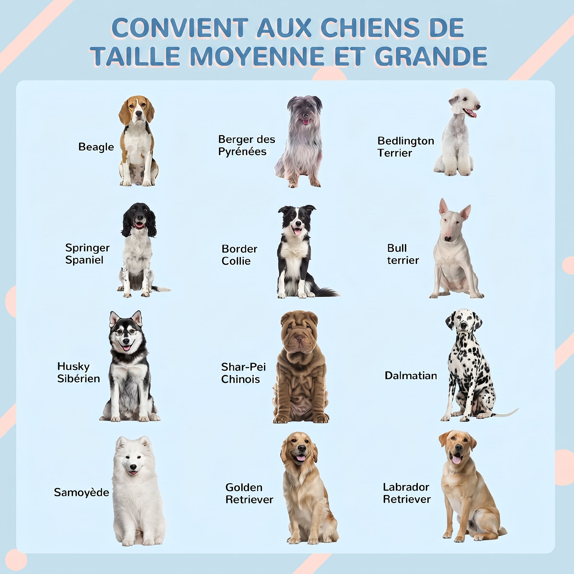 Niche pour Chien Extérieur avec Toit en Pente et Porte Avant Ouverte, pour Chiens Moyens e — vue 7